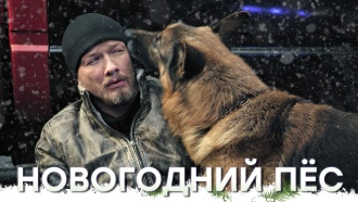 �������� &laquo;���������� ϸ�&raquo;.���.Ru: �������, �����, ��������� ���������� ���