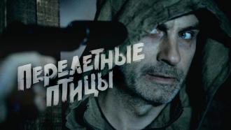 ������������� ����� &laquo;���������� �����&raquo;.���.Ru: �������, �����, ��������� ���������� ���