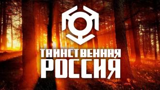 ������������ ������.���.Ru: �������, �����, ��������� ���������� ���