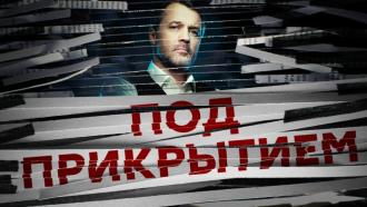 ������ &laquo;��� ����������&raquo;.���.Ru: �������, �����, ��������� ���������� ���