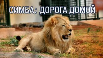�����: ������ �����.���.Ru: �������, �����, ��������� ���������� ���