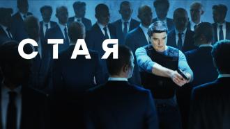 ����������� ������ &laquo;����&raquo;.���.Ru: �������, �����, ��������� ���������� ���