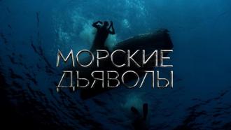 ������� �������.���.Ru: �������, �����, ��������� ���������� ���