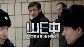 ������������� ������ &laquo;���. ����� �����&raquo;.���.Ru: �������, �����, ��������� ���������� ���