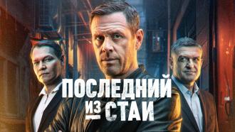 ����������� ������ &laquo;��������� �� ����&raquo;.���.Ru: �������, �����, ��������� ���������� ���
