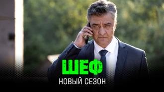 ��������. ������������� ������ &laquo;���&raquo;. 8 �����.���.Ru: �������, �����, ��������� ���������� ���