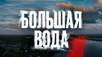 ������������� ������ &laquo;������� ����&raquo;.���.Ru: �������, �����, ��������� ���������� ���