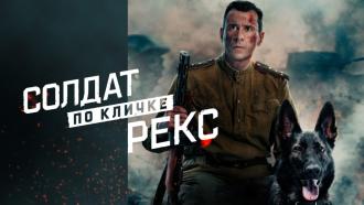 ����� &laquo;������ �� ������ ����&raquo;.���.Ru: �������, �����, ��������� ���������� ���
